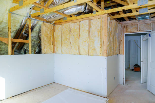 Best Eco-Friendly Insulation in Murillo, TX