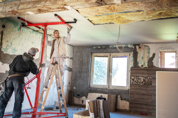 Best Commercial Insulation in Murillo, TX