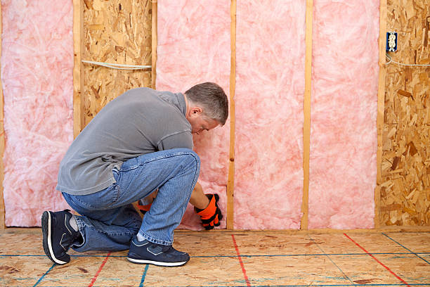 Best Geographic-Specific Insulation Services in Murillo, TX