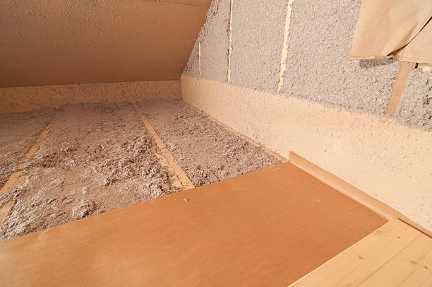 Professional Insulation Contractor in Murillo, TX