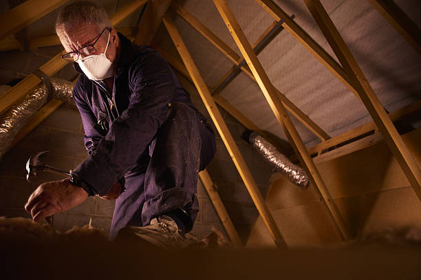 Best Blown-in Insulation in Murillo, TX